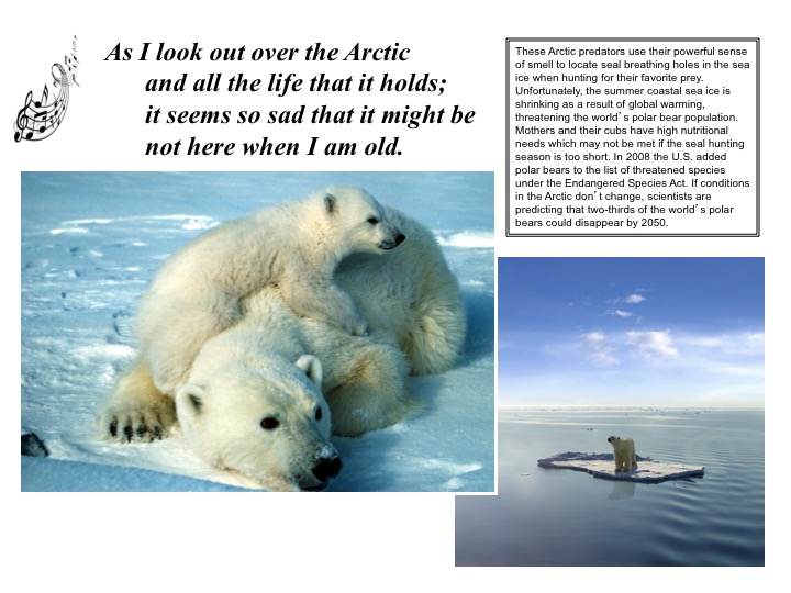 Norma L Gentner Save The Arctic Save Polar Bears